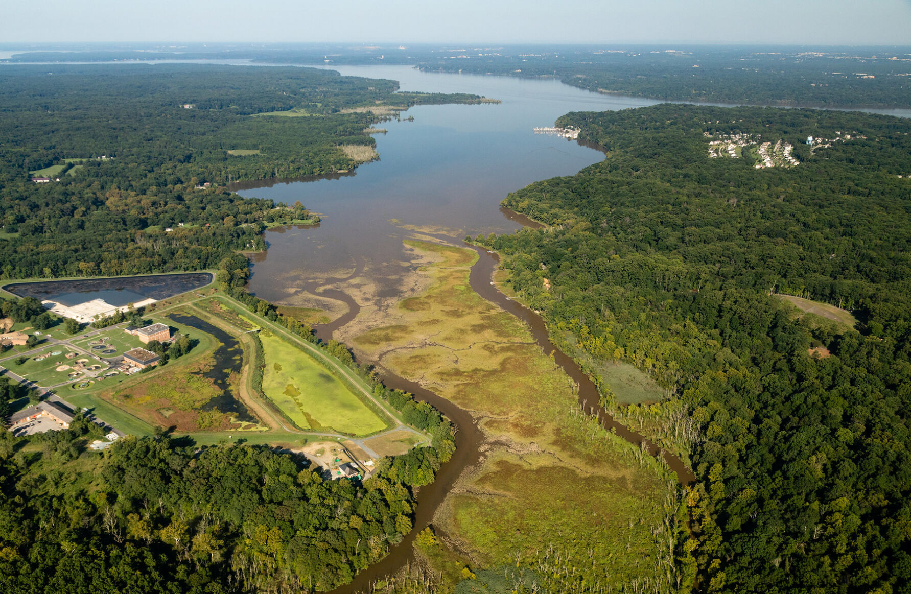 Piscataway Creek headwaters